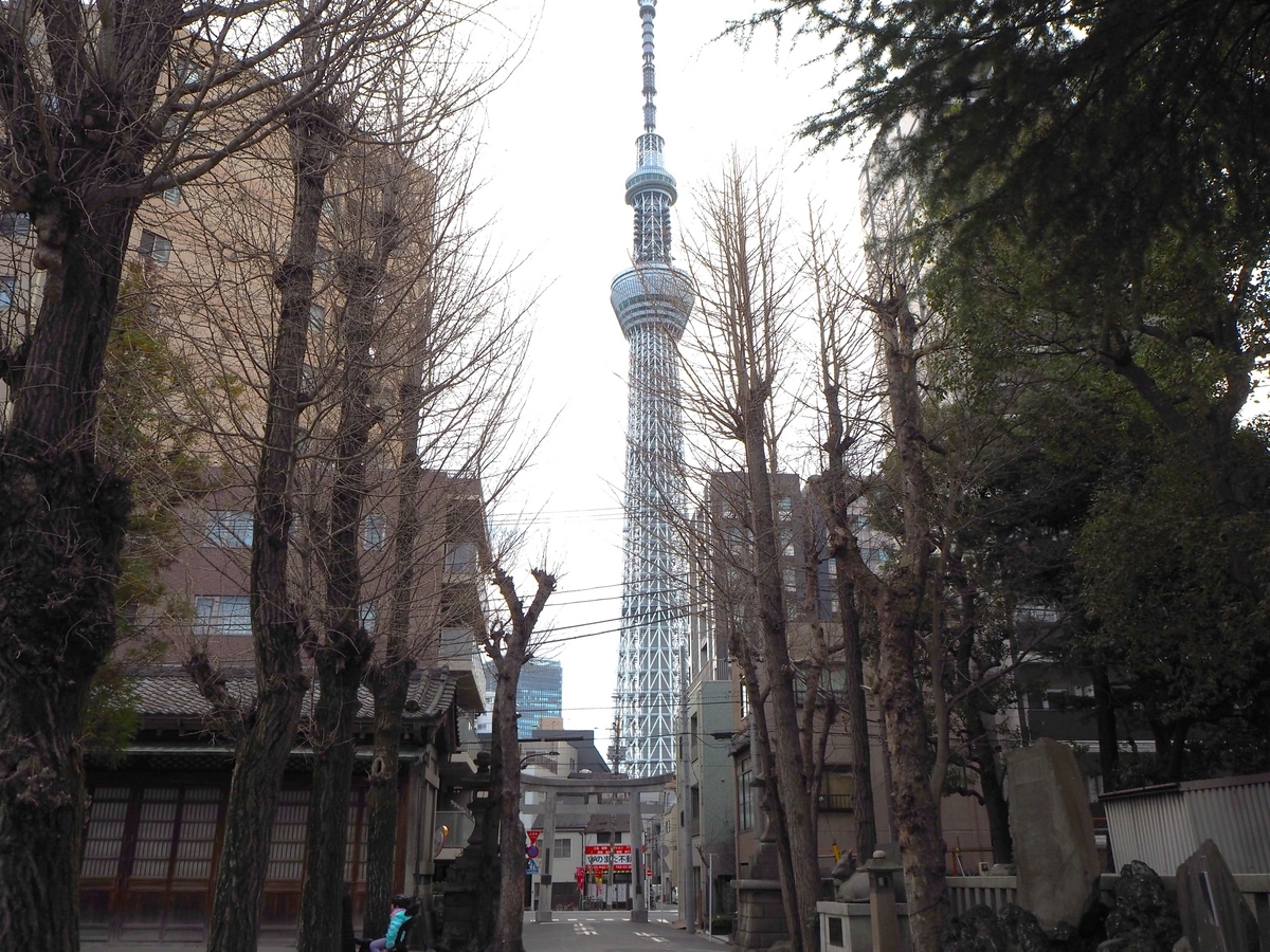 牛嶋神社から見た東京スカイツリー