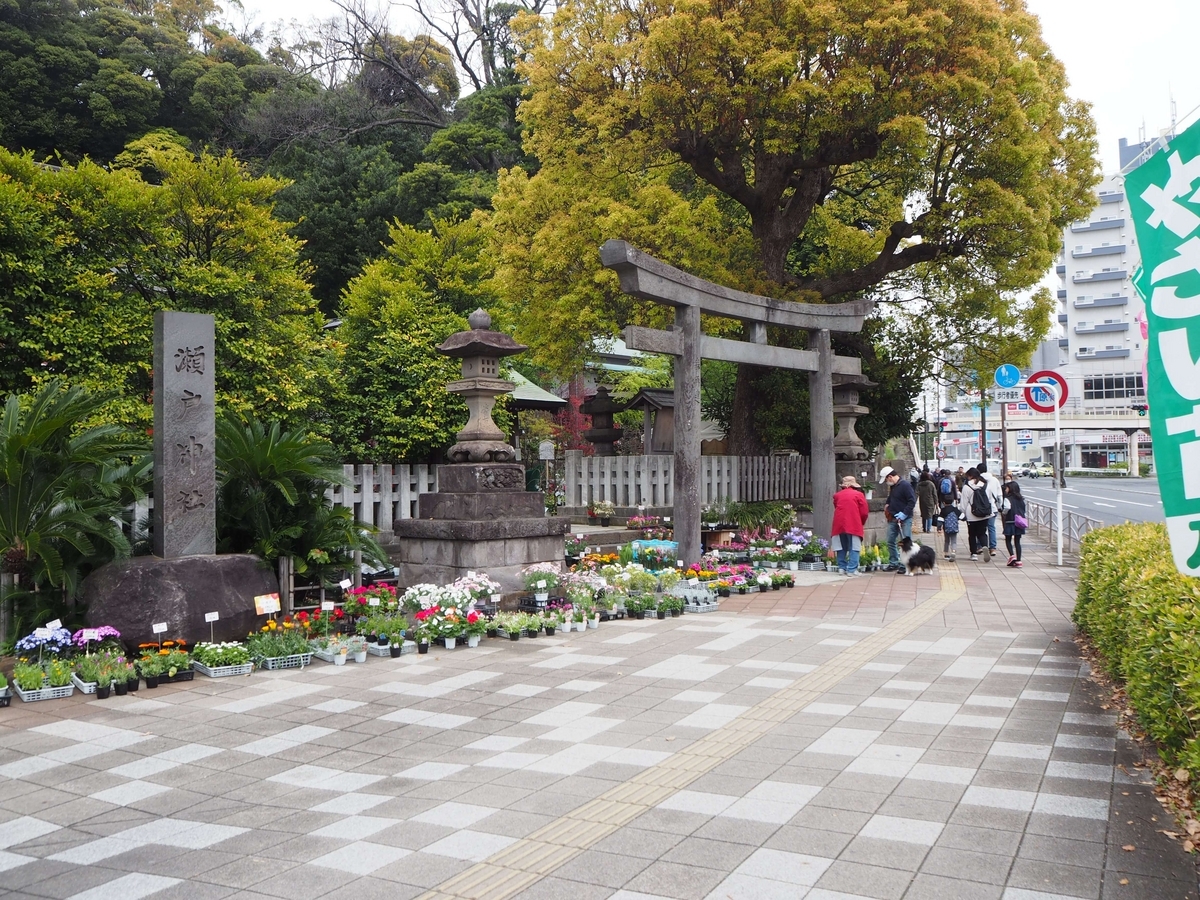瀬戸神社の2024年4月6日の全景