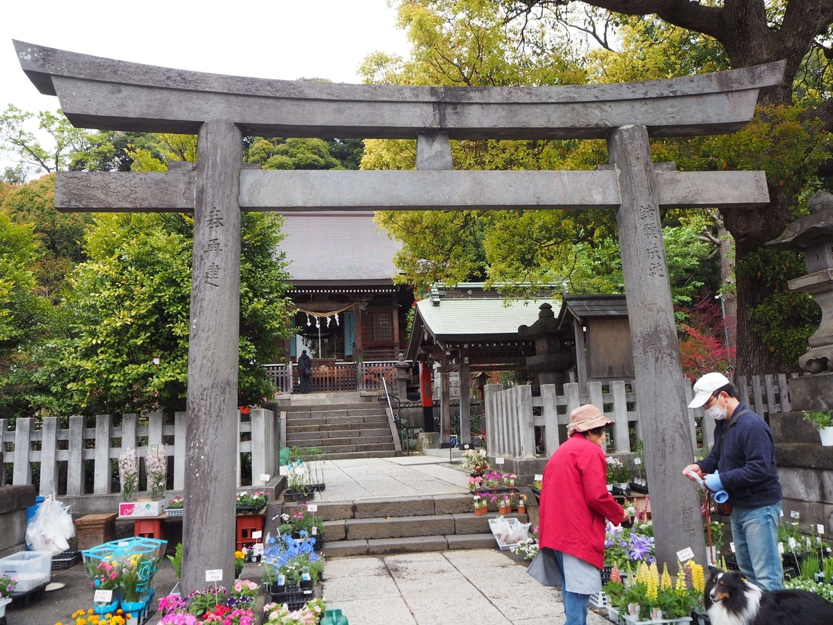 瀬戸神社の2024年4月6日の大鳥居