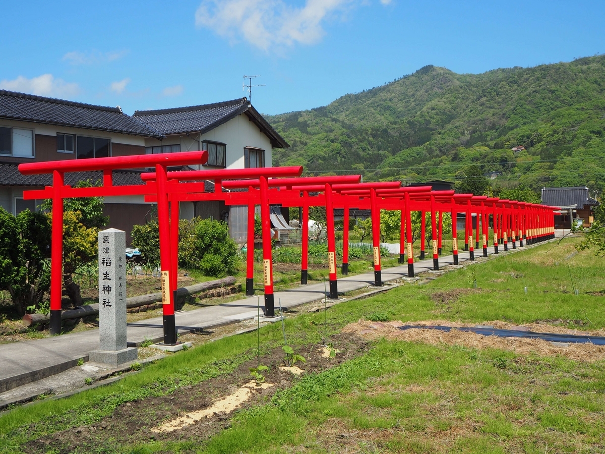 朱塗りの鳥居の列