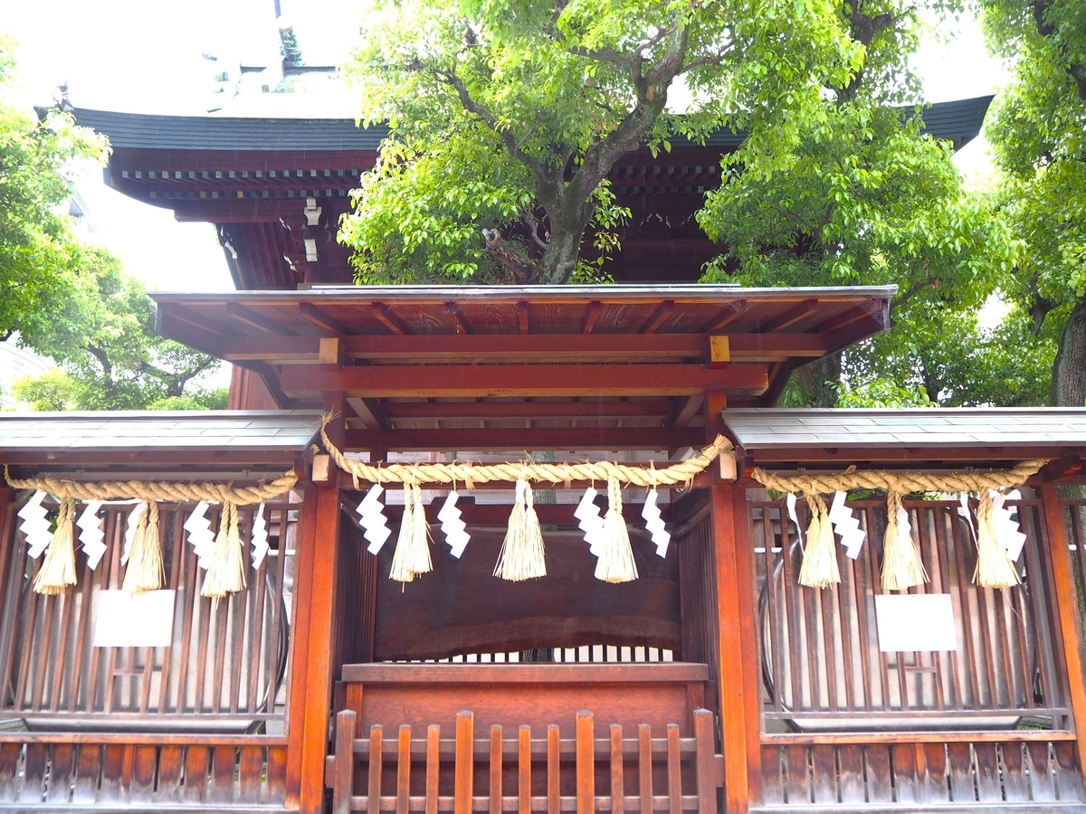 真裏から見た2024年4月27日の本殿