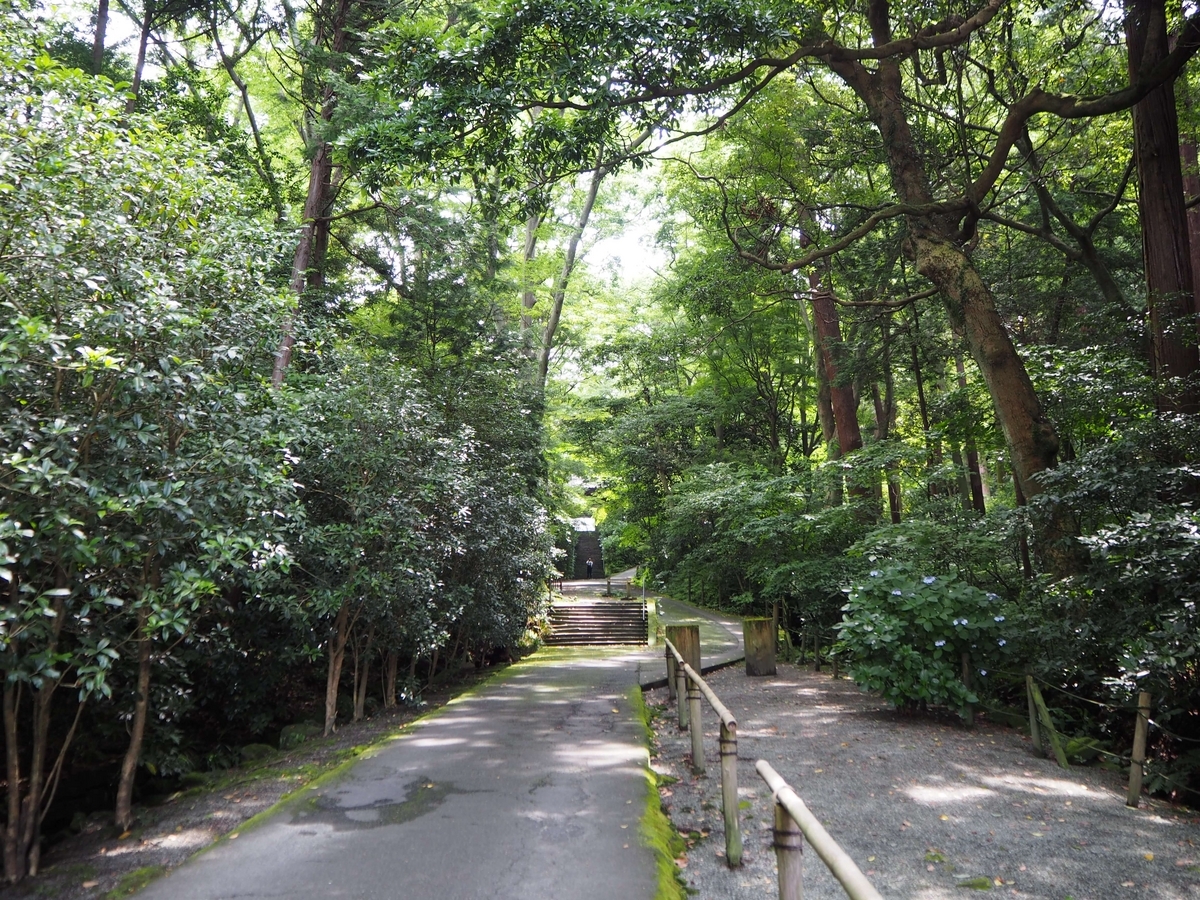2024年6月17日の鎌倉時代の森