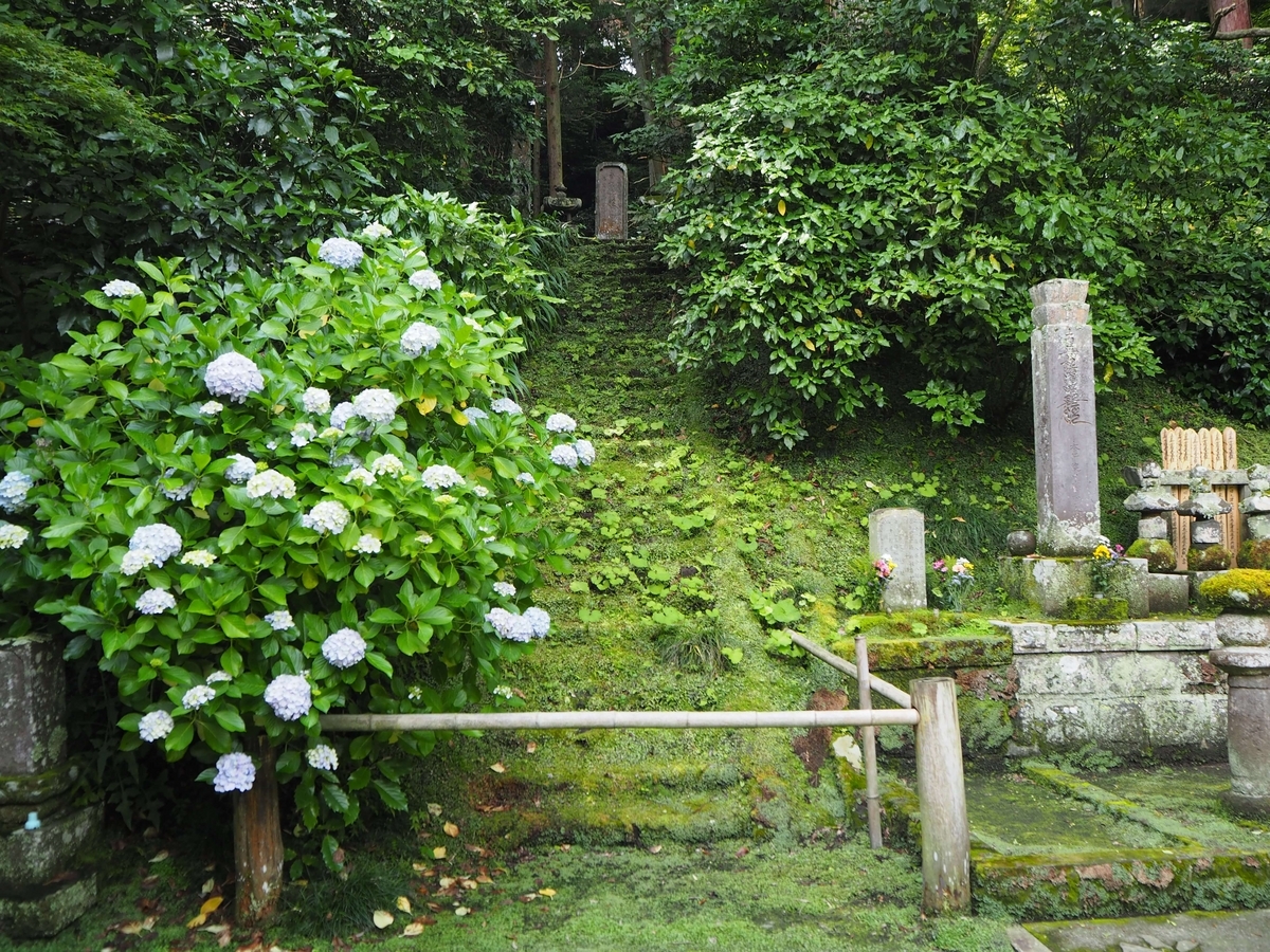 妙本寺のあじさい