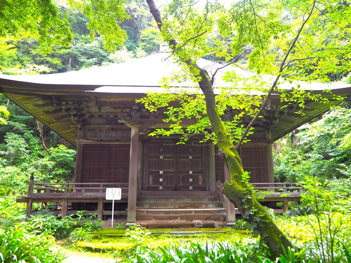 2024年6月17日の法華堂