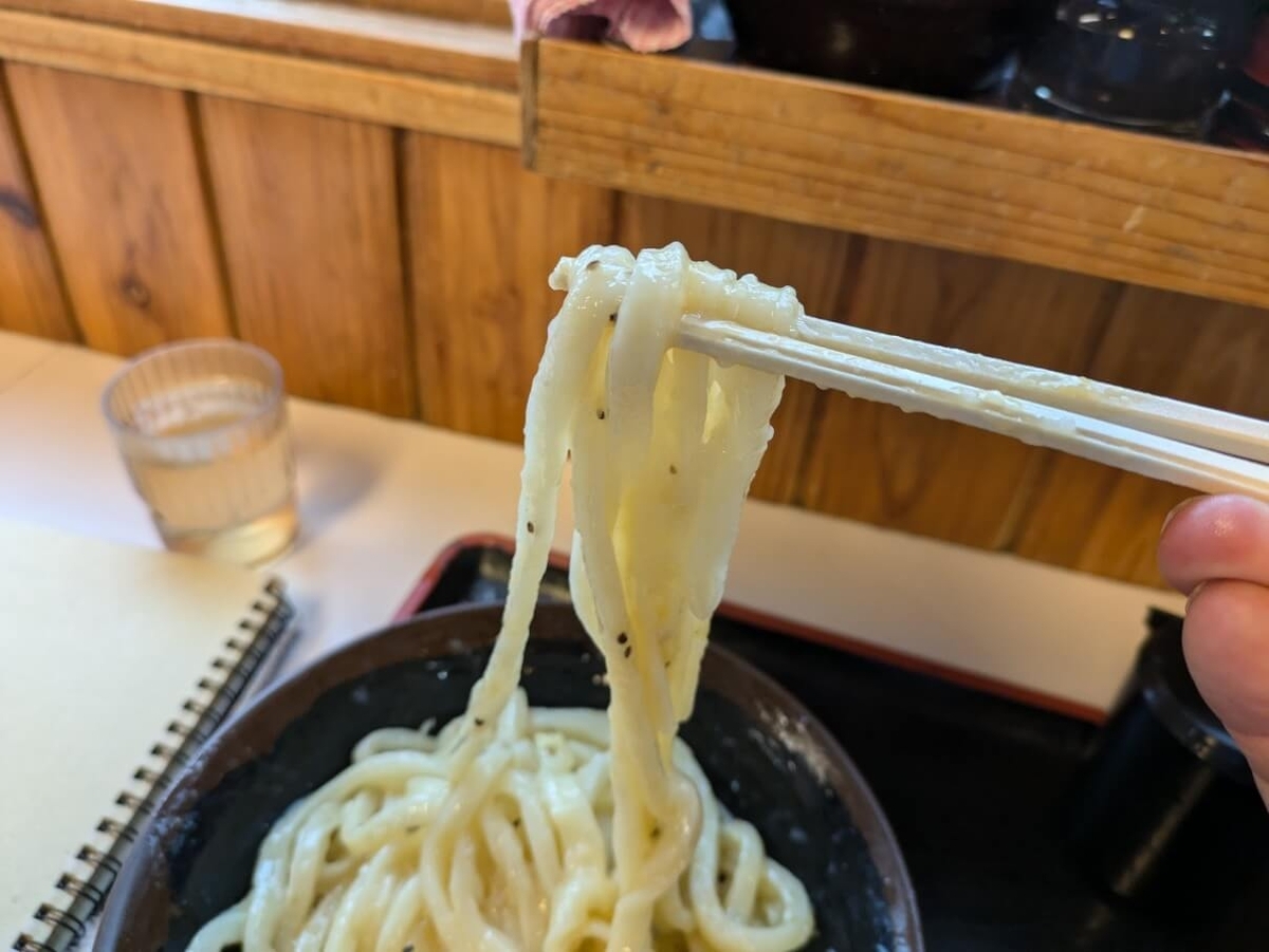 うどんバカ一代の麺