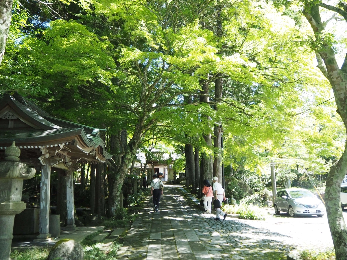2024年8月17日の参道