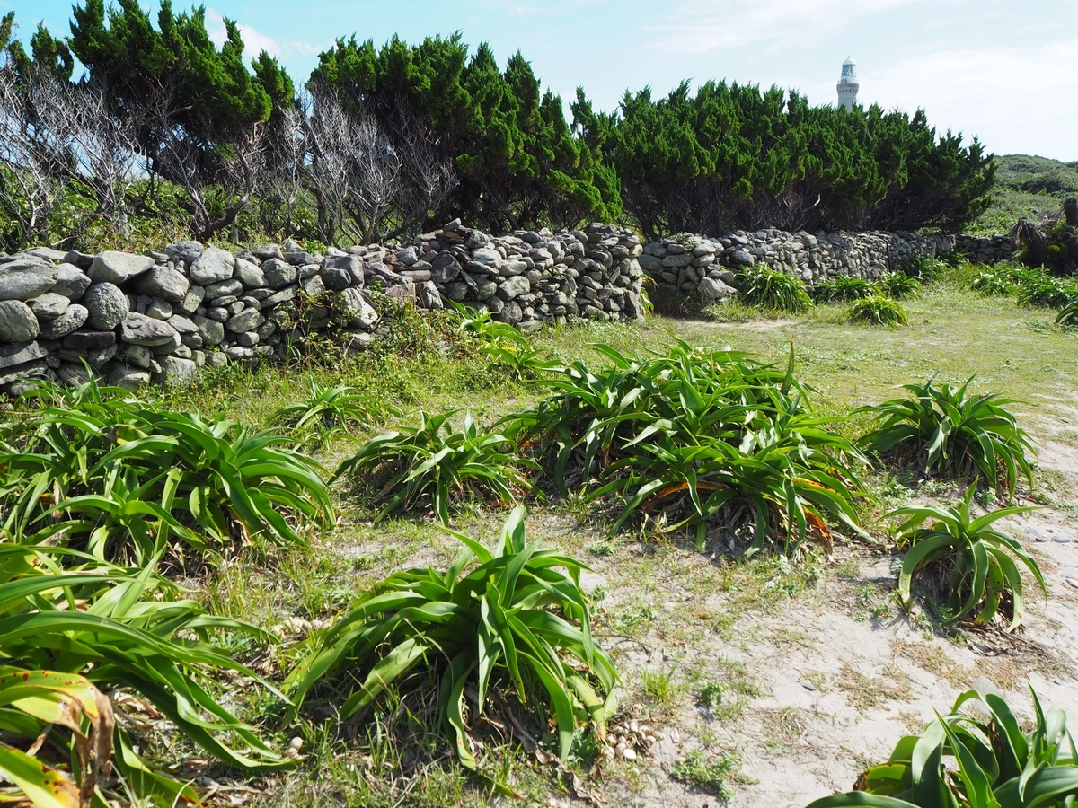 夢崎明神の石垣