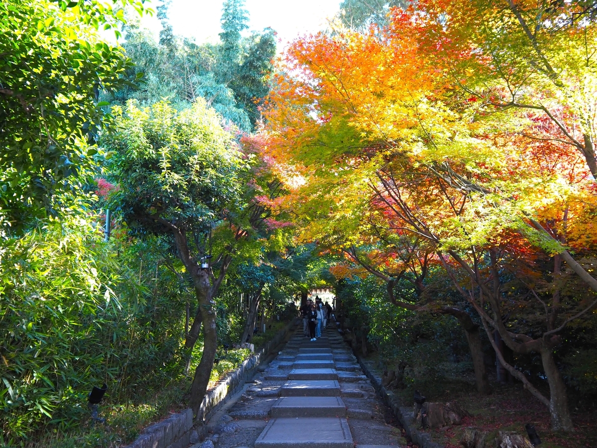台所坂