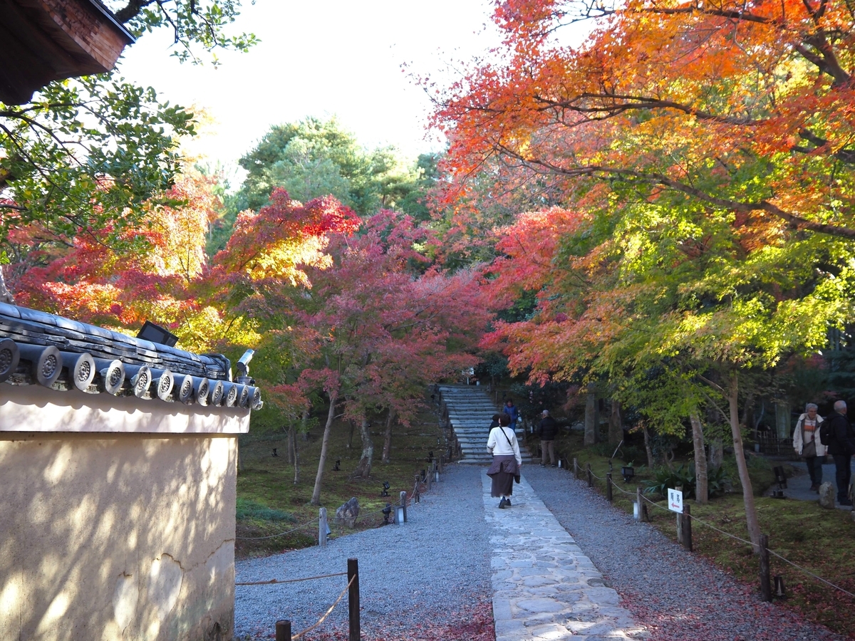 高台寺の紅葉