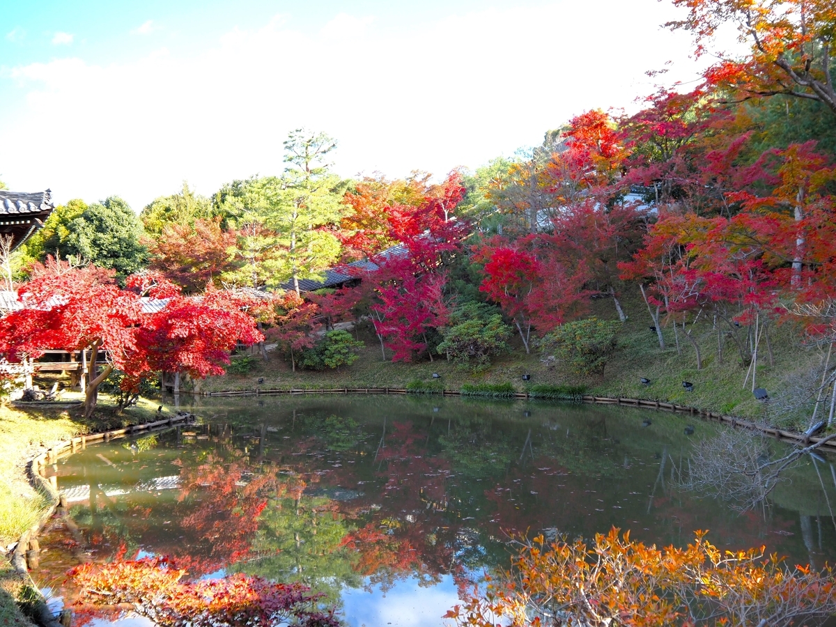 高台寺の紅葉