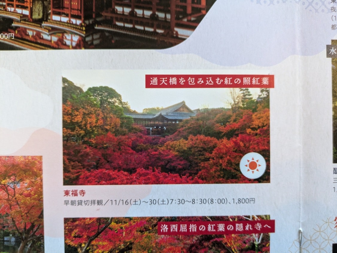 JR東海がポスターで使用した通天橋の紅葉の写真