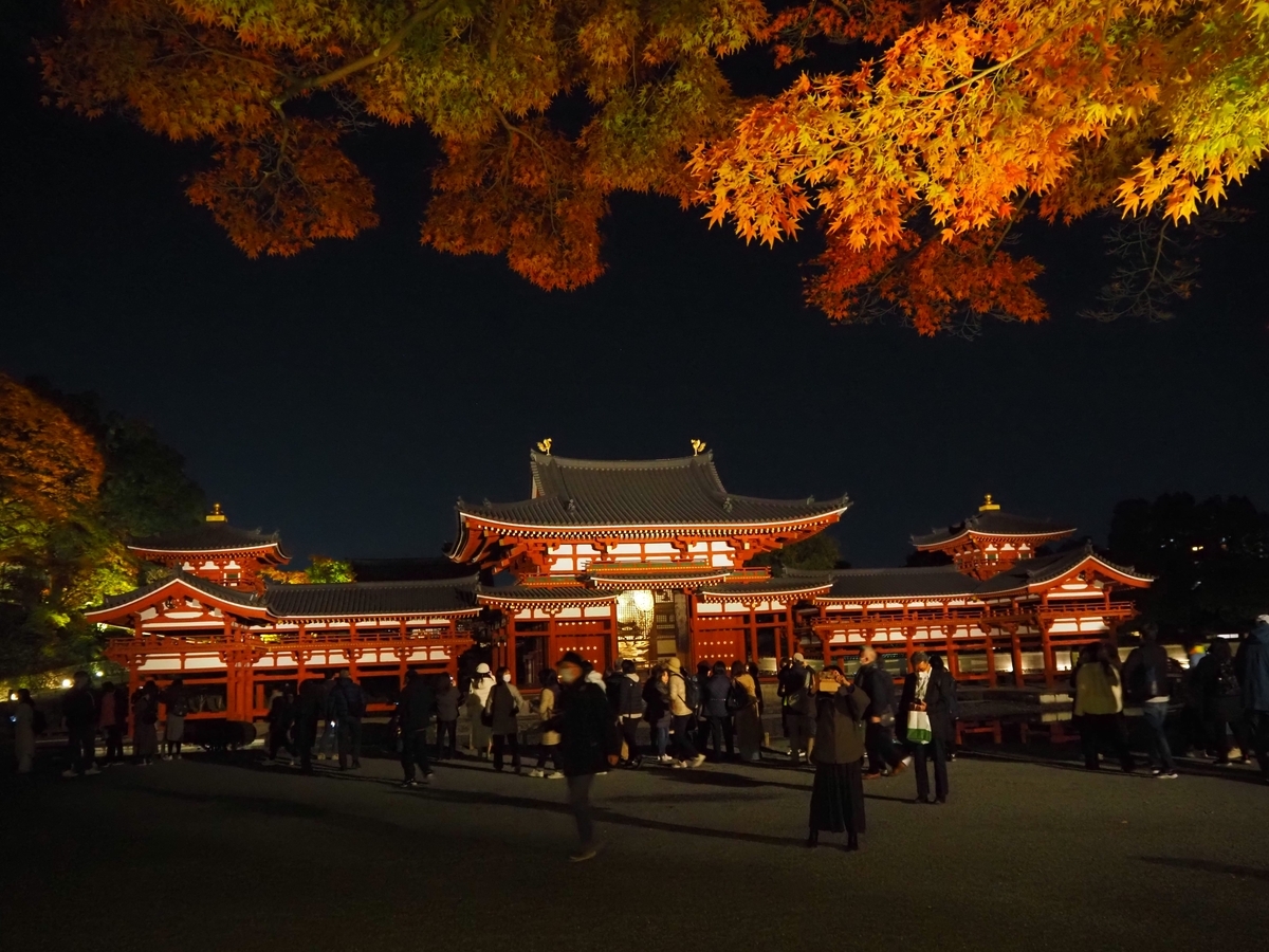 ライトアップされた紅葉