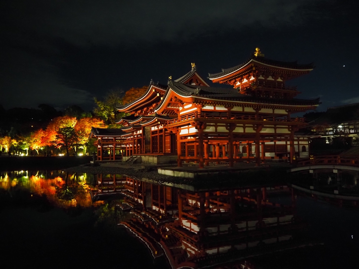 ライトアップされた紅葉