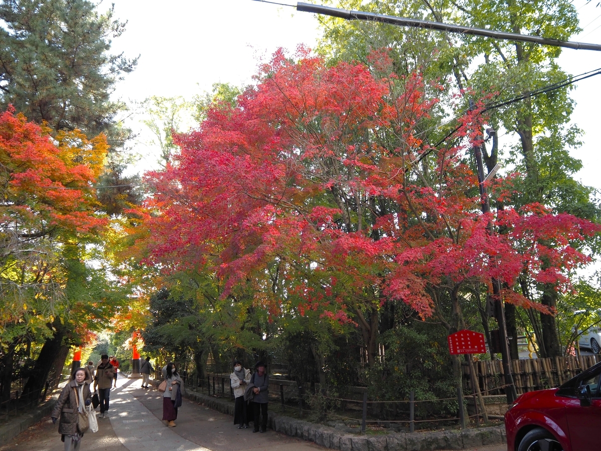 宇治上神社の参道の紅葉