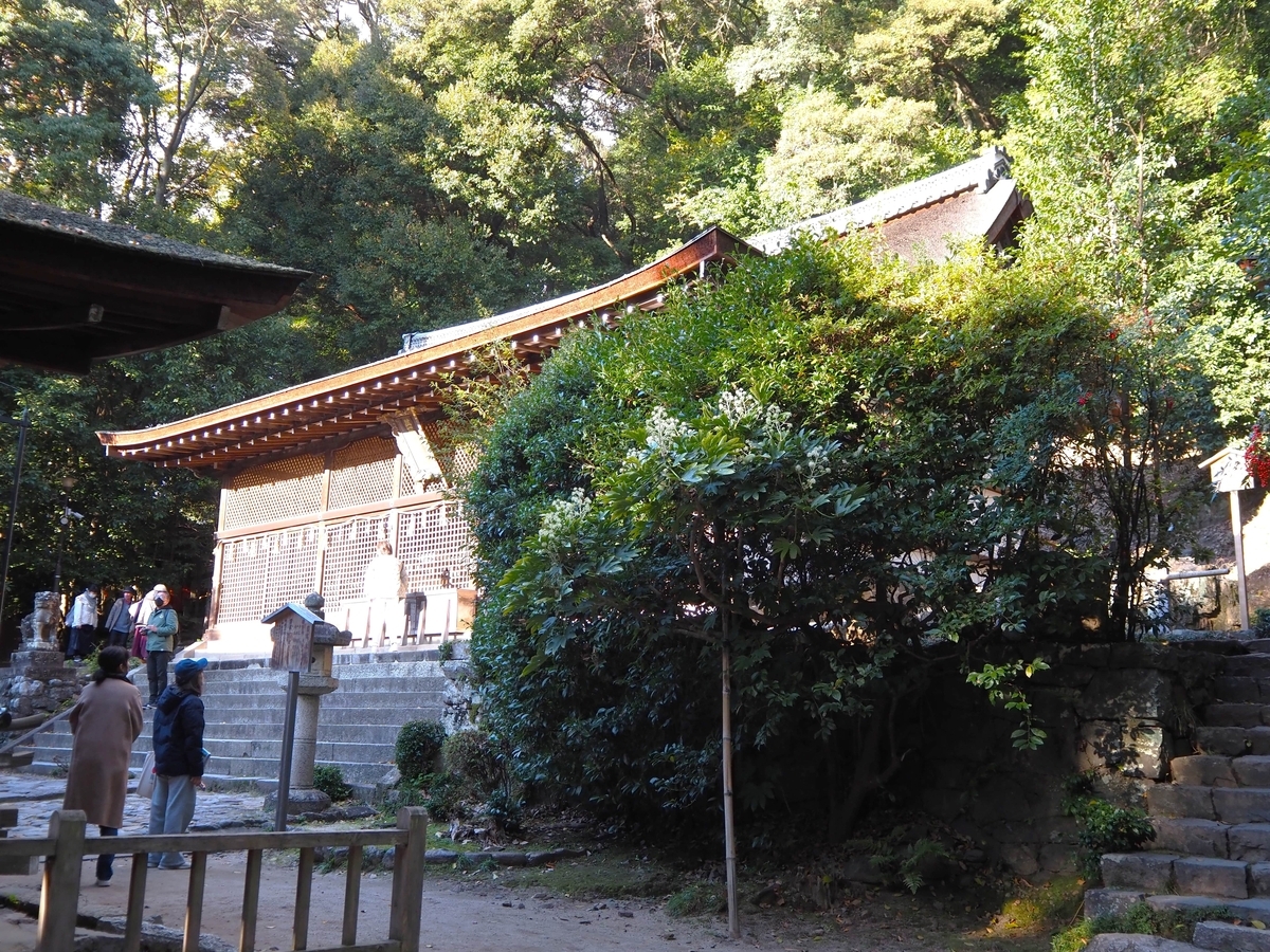 斜め下から見た本殿