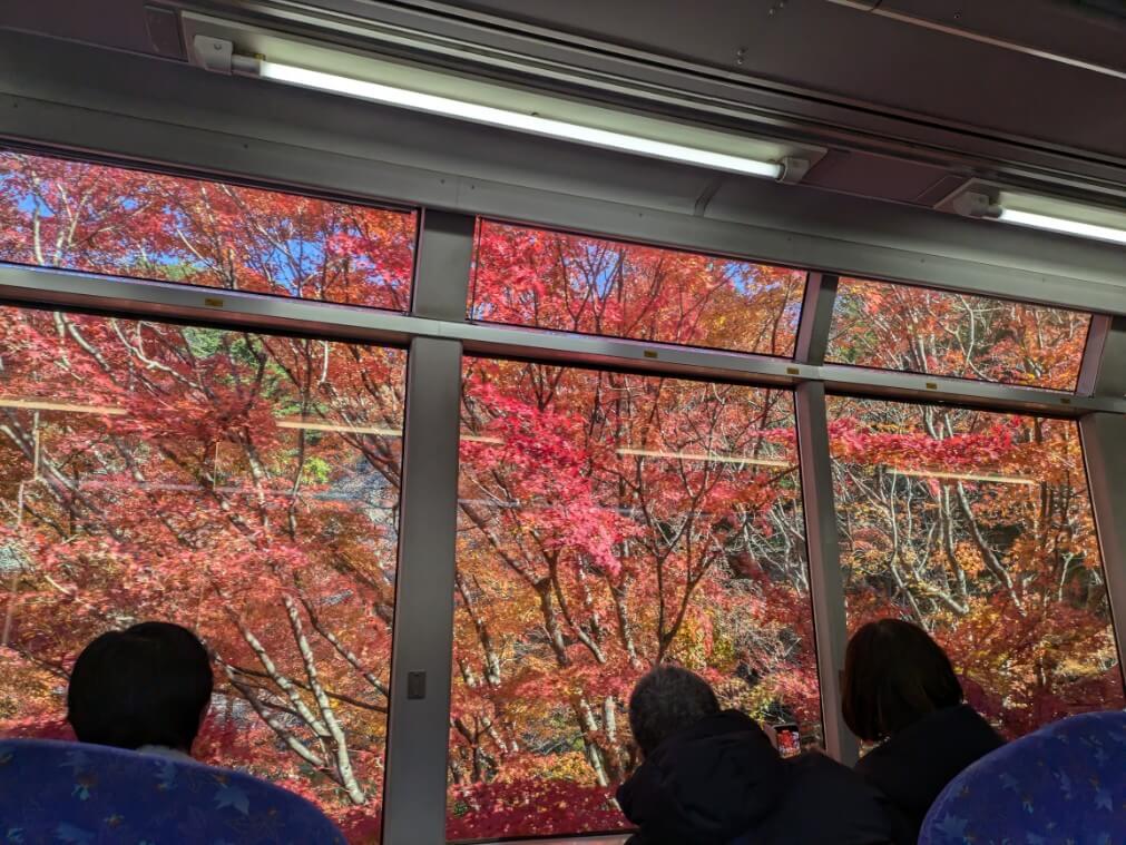 一面の赤