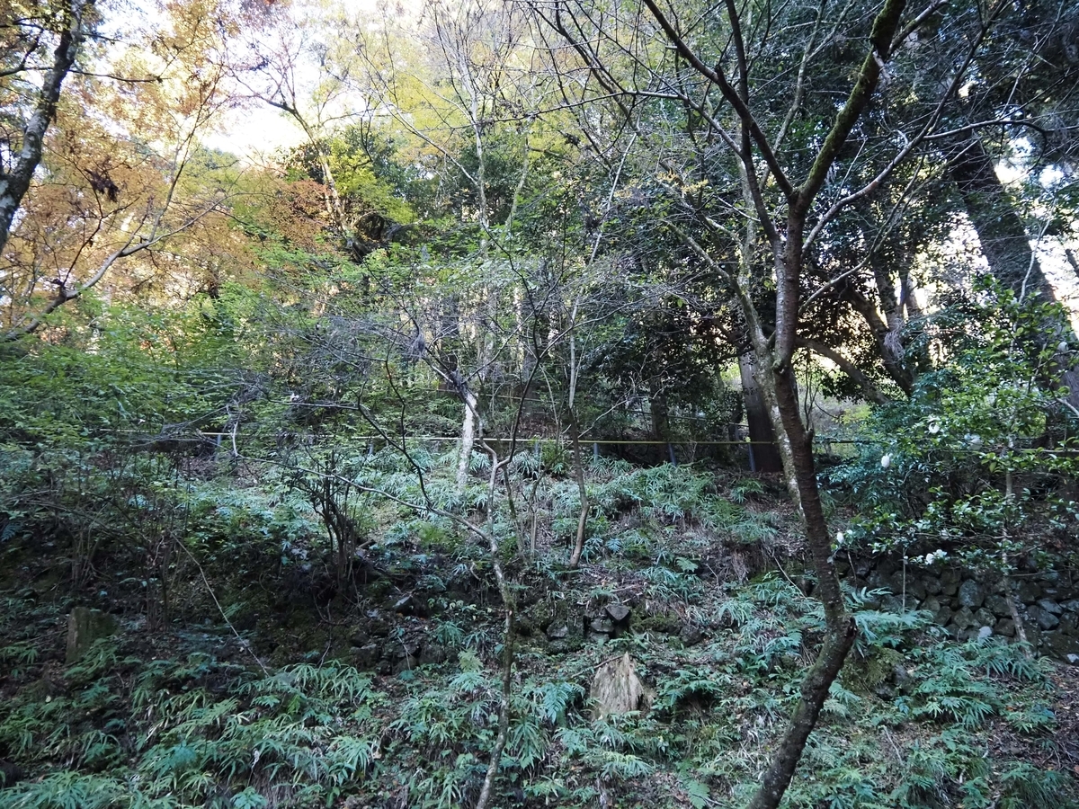 何度も折曲がりながら上に向かって伸びる道