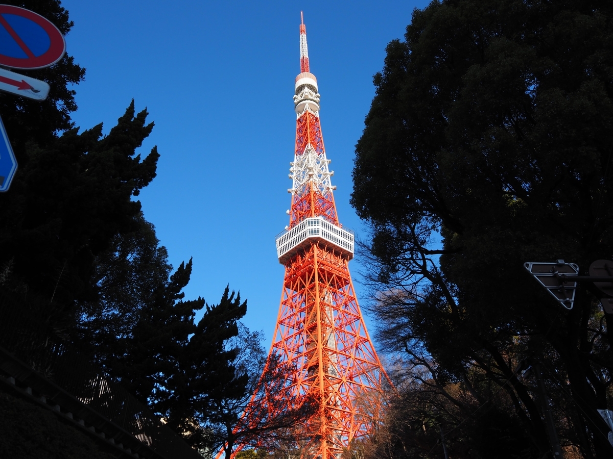 東京タワーの全景（2025年1月1日）