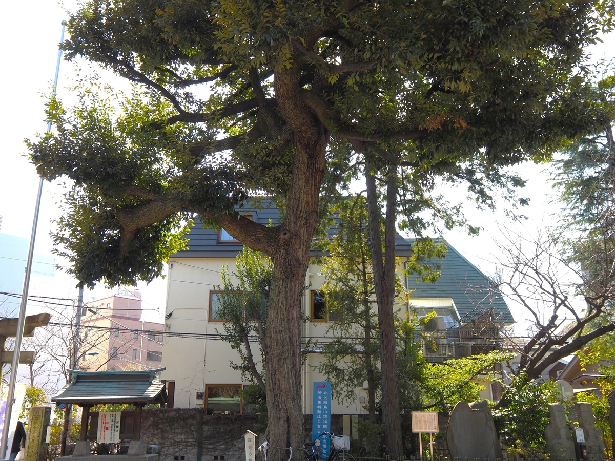 腹籠の椎