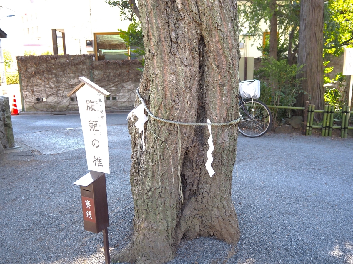 木の洞の部分