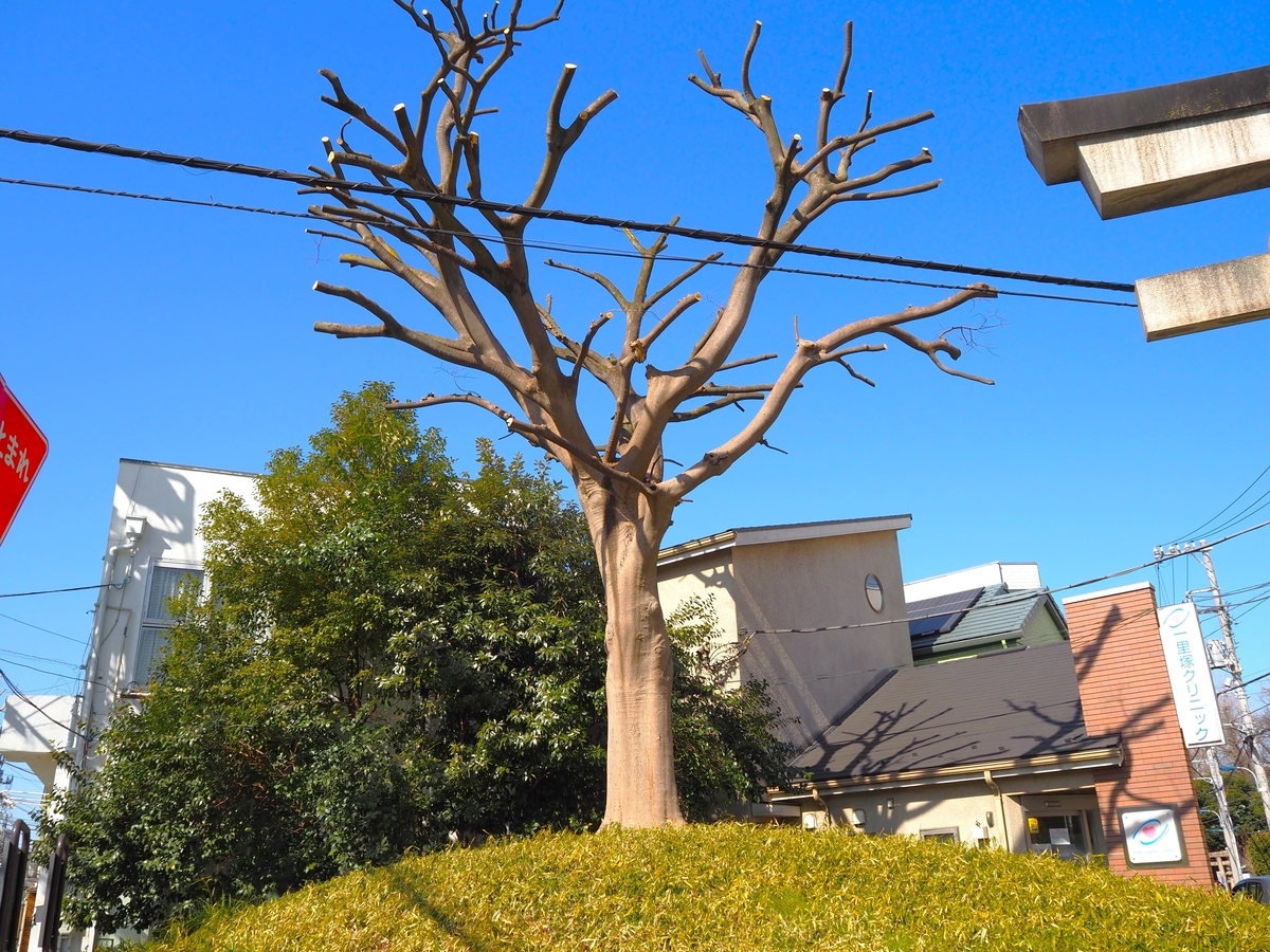 西ヶ原一里塚