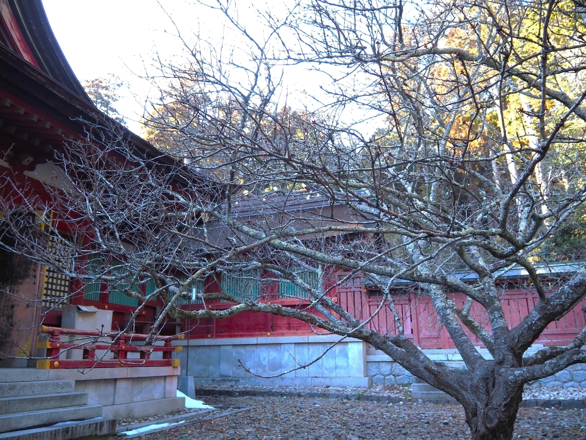 志波彦神社の本殿
