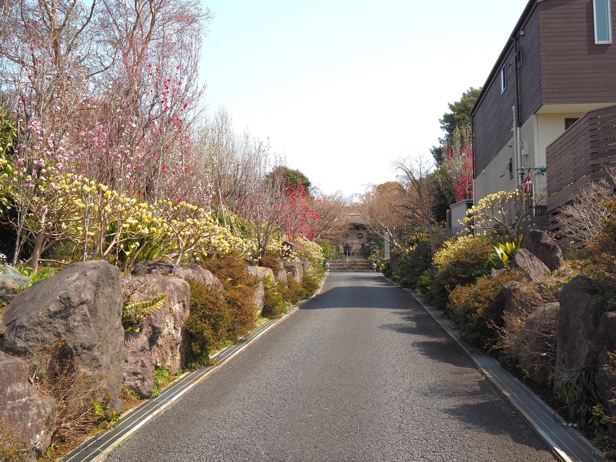 常泉寺の参道