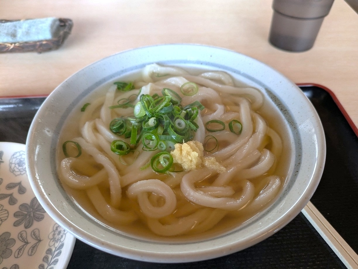 基本メニューのかけうどん