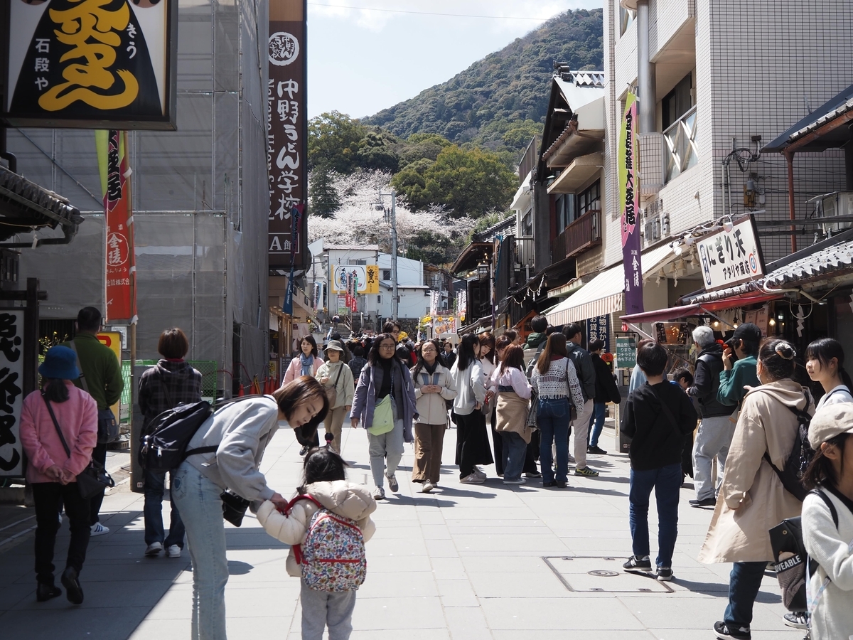 中野うどん学校