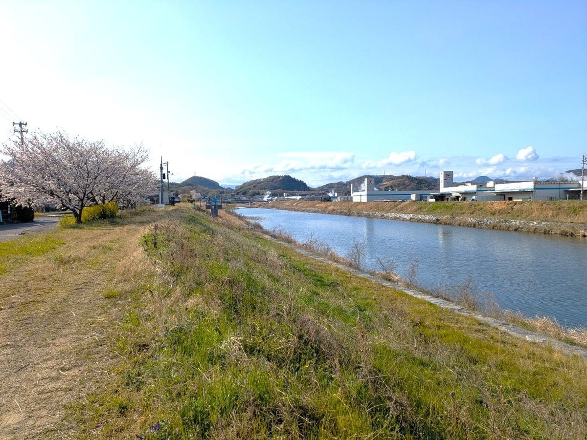 綾川の土手