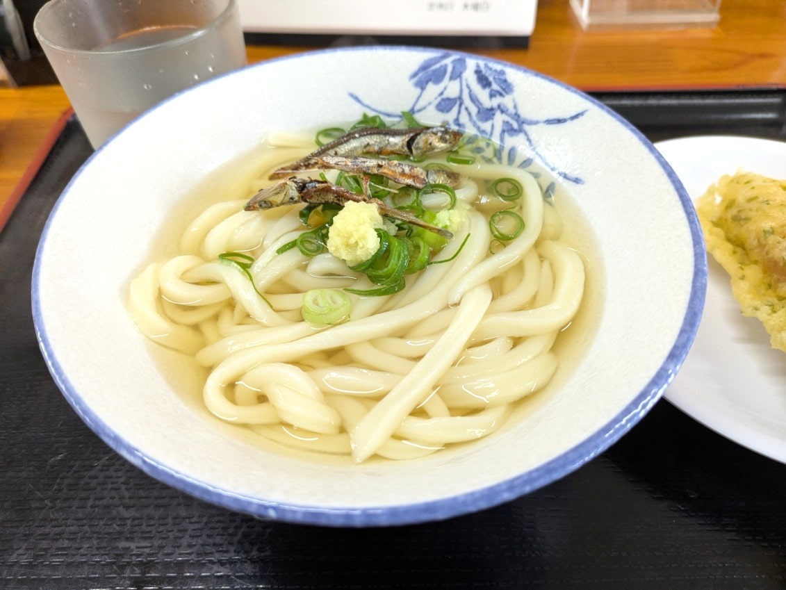 手打ち麺や大島のかけうどん