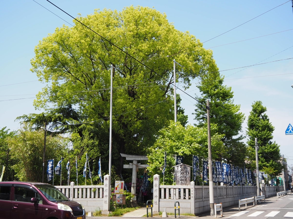 江北氷川神社の全体像