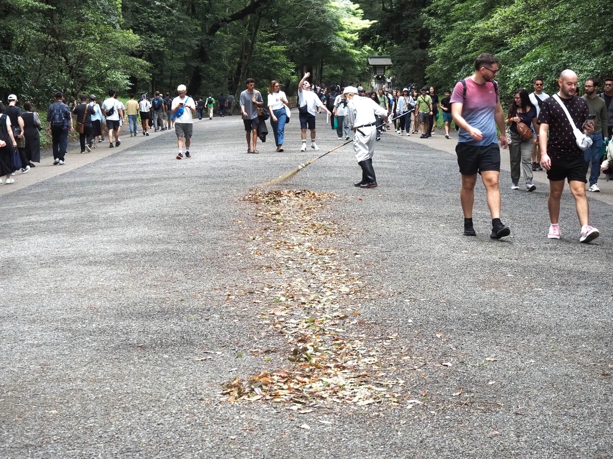 参道の落ち葉