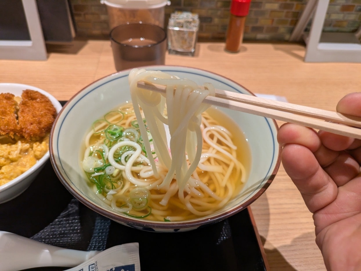 だしぼんずの麺