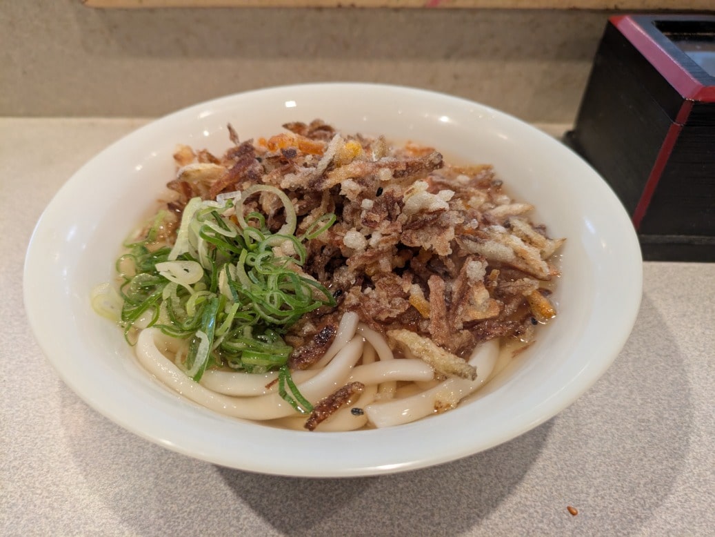てんこ盛りごぼ天うどん