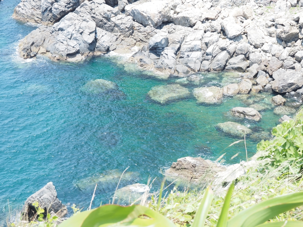 綺麗な水