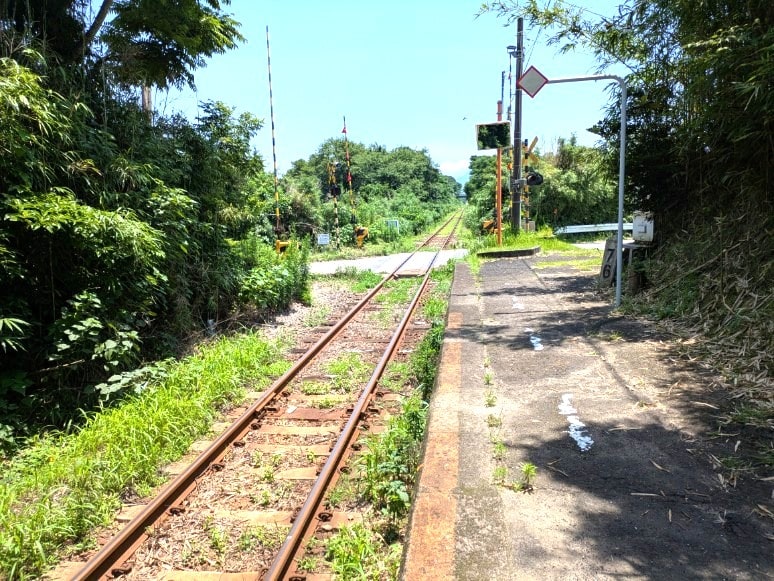 線路内に侵入した木の枝や草