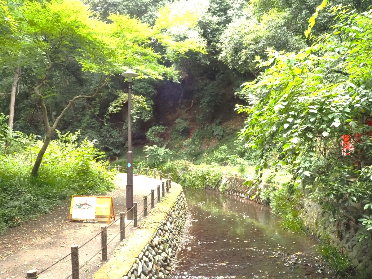 等々力渓谷と遊歩道