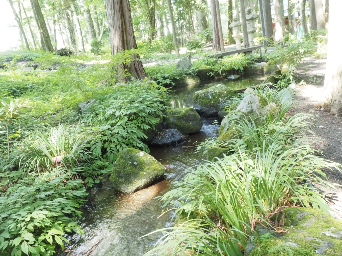 池と川