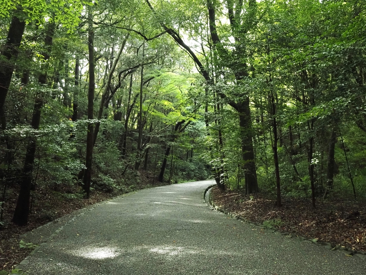 緩やかな下り坂