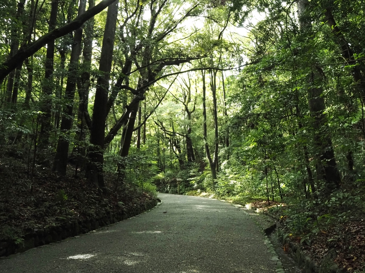 緩やかな下り坂