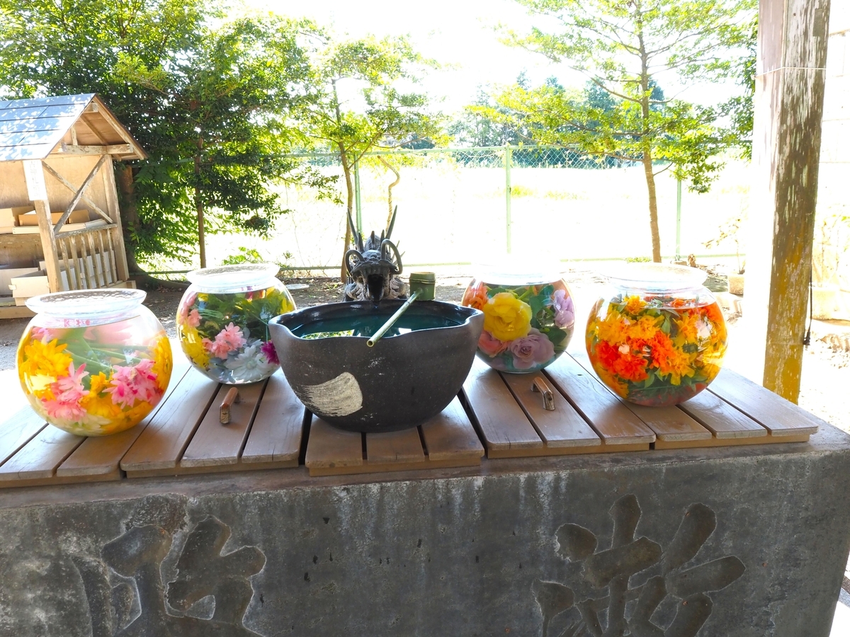 素鵞神社の花手水