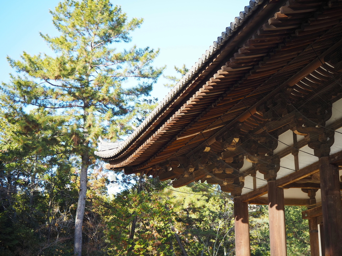 屋根の曲線