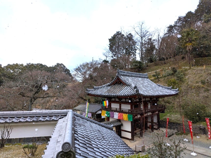 飛鳥に降った雪