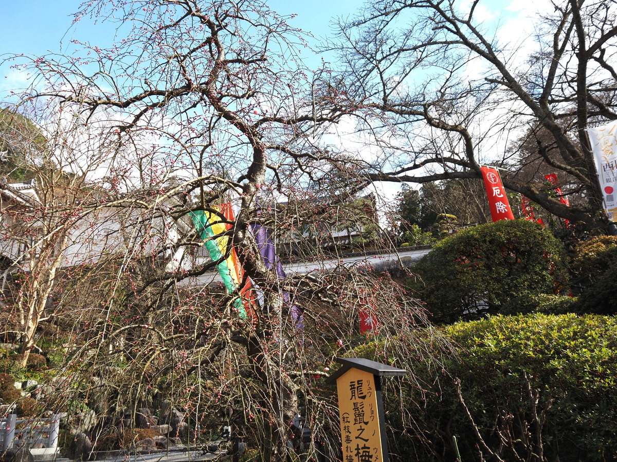 仁王門から見上げた本堂