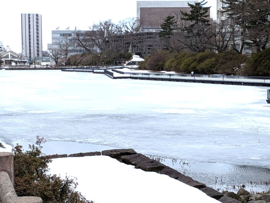 千秋公園の堀