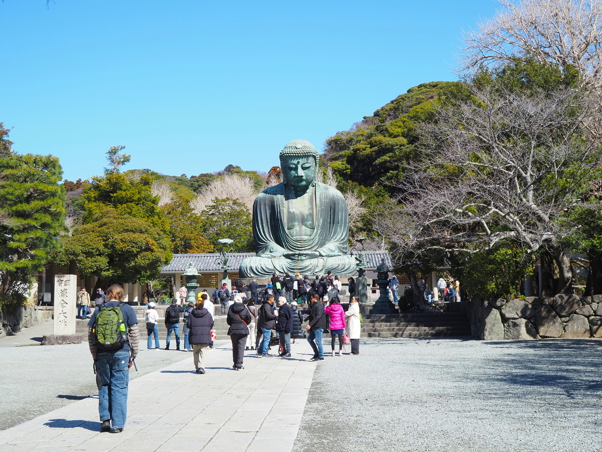 遠くから見た鎌倉大仏