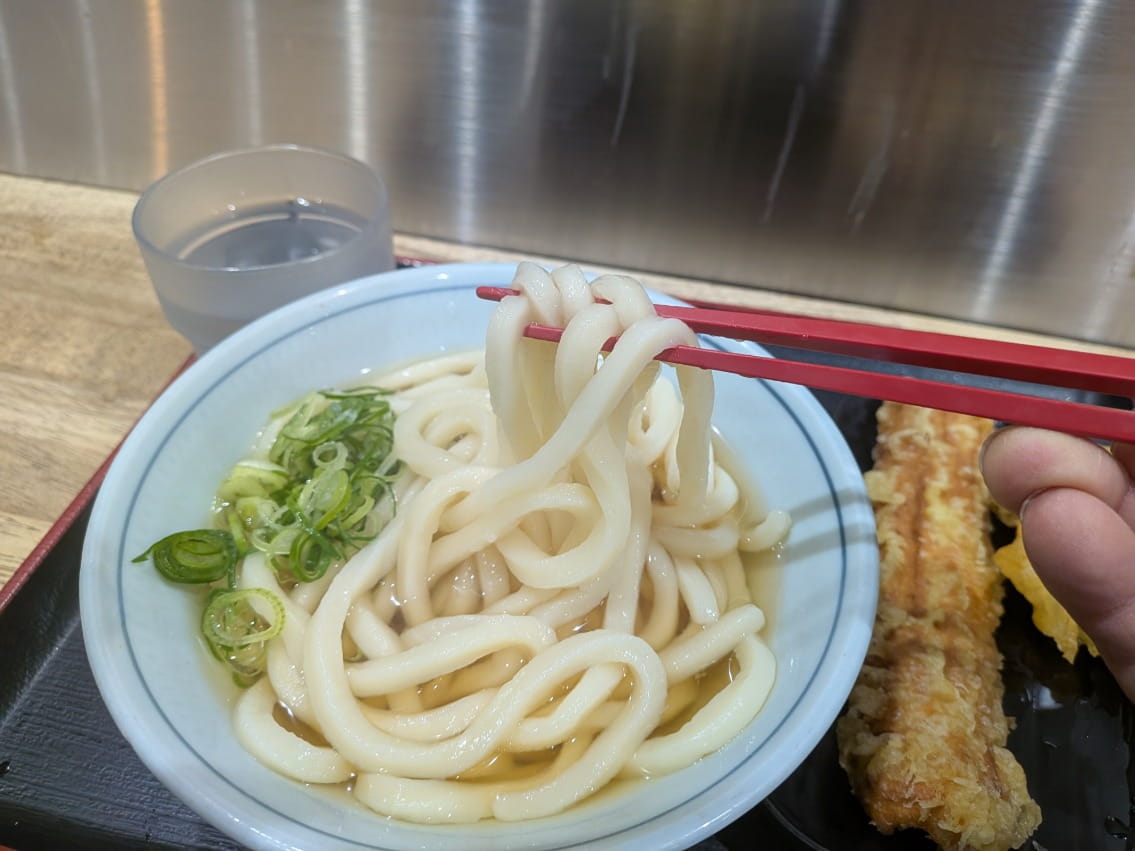 つくもうどんの麺