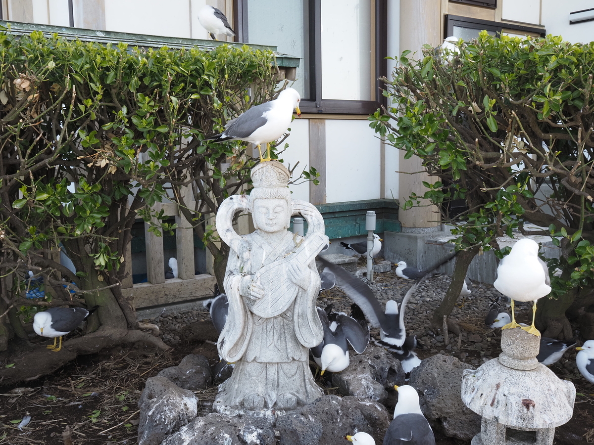 驚きの光景