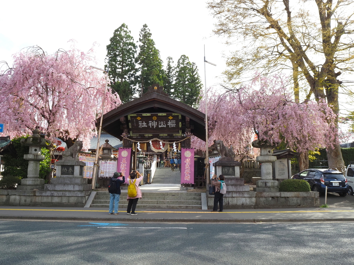 神門と桜